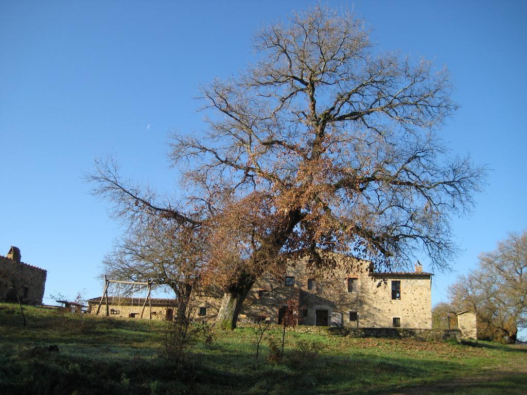 Agriturismo Il Casalino Pari Exterior foto