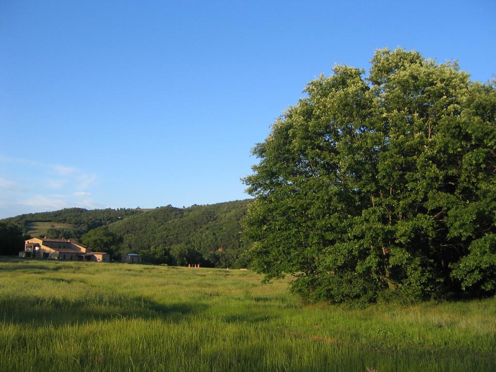 Agriturismo Il Casalino Pari Exterior foto